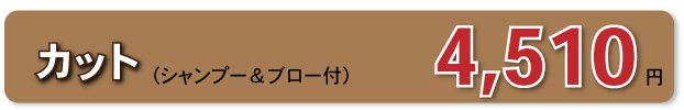 カット　シャンプー＆ブロー